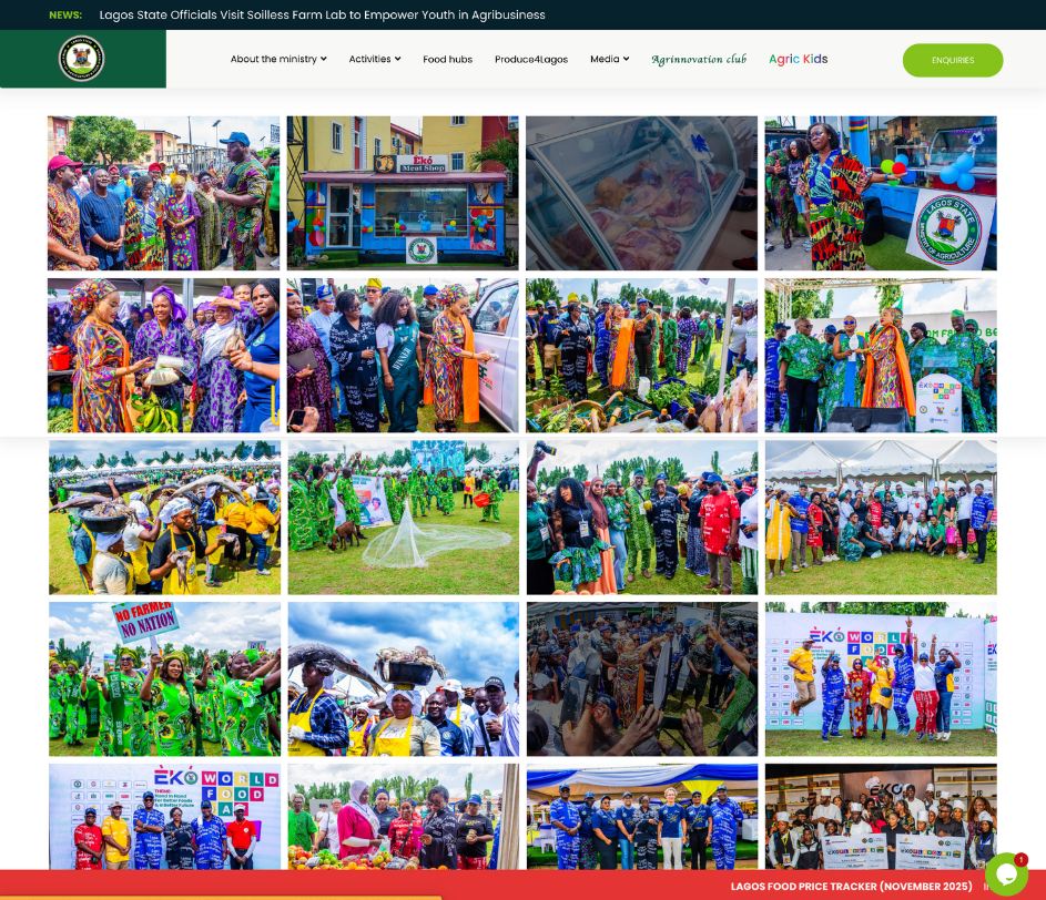 Untitled design (31)